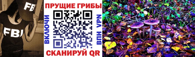 OMG ССЫЛКА  Новомичуринск  Псилоцибиновые грибы прущие грибы 